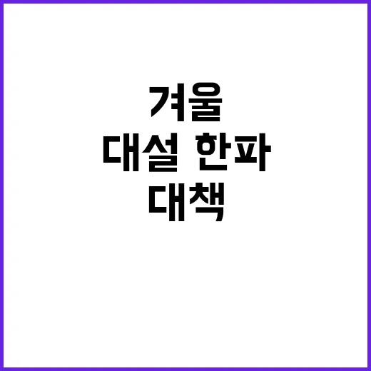 대설·한파 범정부 …