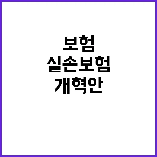 실손보험 개혁안 금…