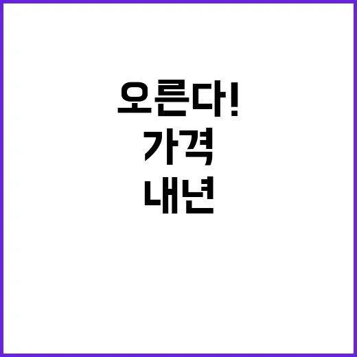 가격 상승 내년에도 계속 오른다! 당신은 준비됐나요?