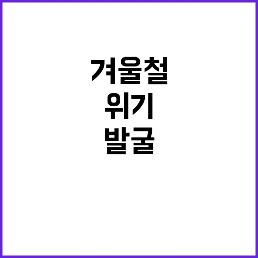 위기정보 분석 겨울…