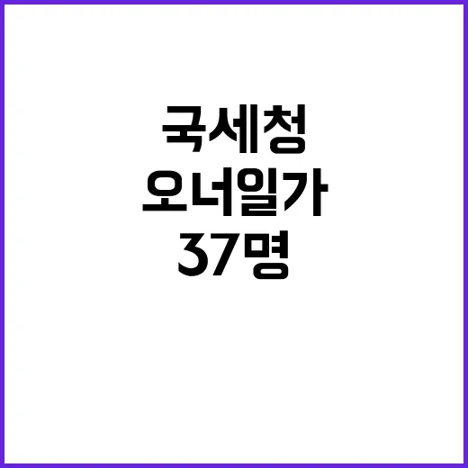 국세청 회삿돈 빼돌…