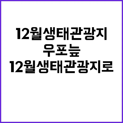 우포늪 12월 생태관광지로 추천하는 이유!