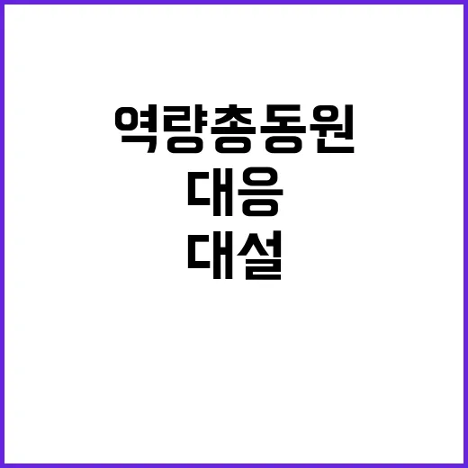 대설 경고! 정부 …