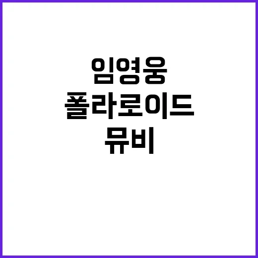 임영웅 ‘폴라로이드…