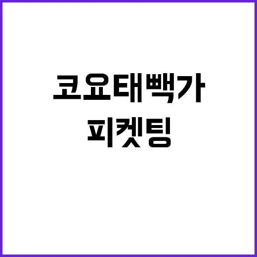 피켓팅 성공 코요태…