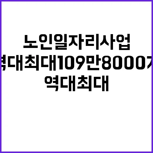 노인일자리 사업 역…