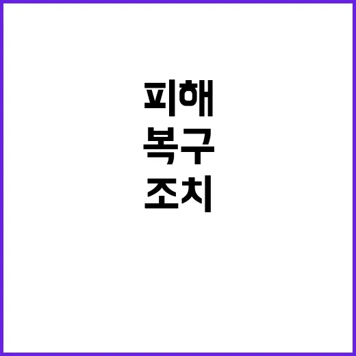 폭설 피해 조속한 …