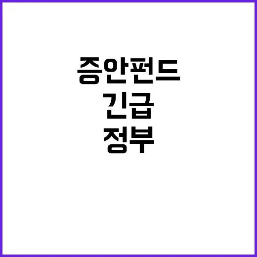 증안펀드 정부 긴급…