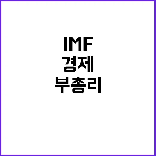 IMF 면담 경제부…