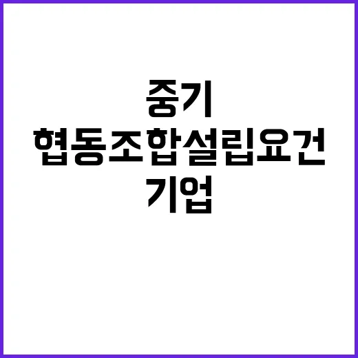 중기 협동조합 설립…