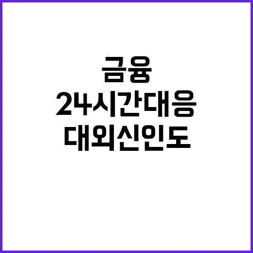 금융 안정세 24시…