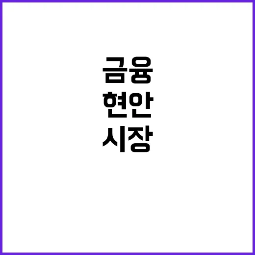 시장안정 조치 금융정책 현안 일관적 추진 방안 공개!