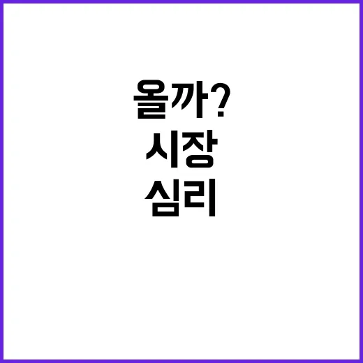 정부의 대응 시장 …