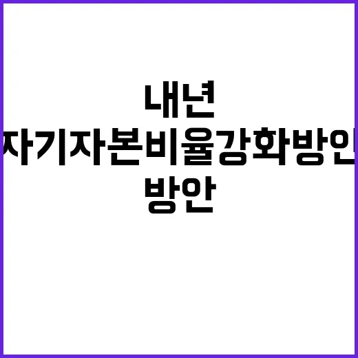 금융위 자기자본 비율 강화 방안 내년 상반기 공개!