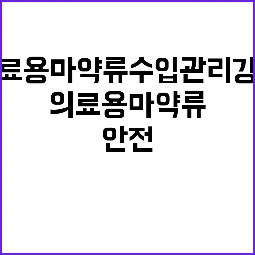 의료용 마약류 수입…