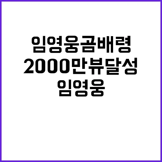 임영웅 곰배령 대박…