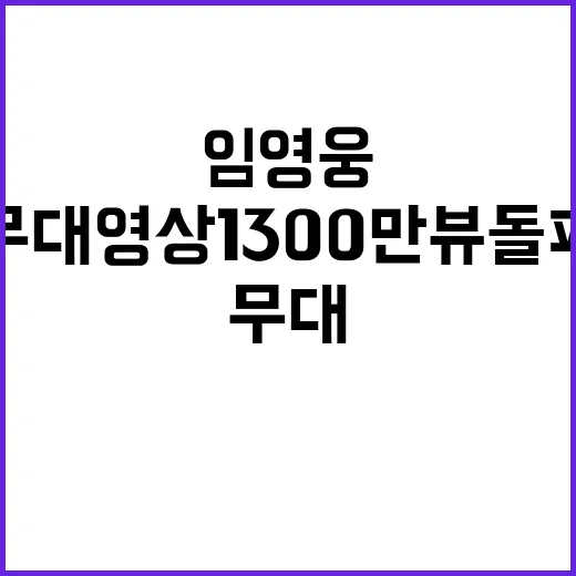 임영웅 후 무대영상…