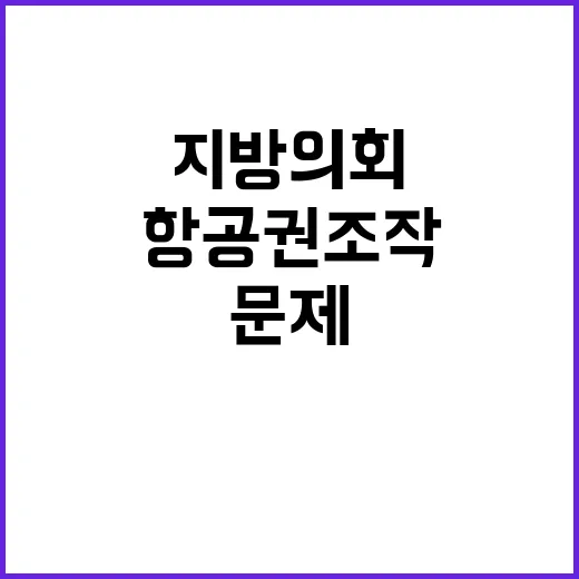 지방의회 출장 항공…