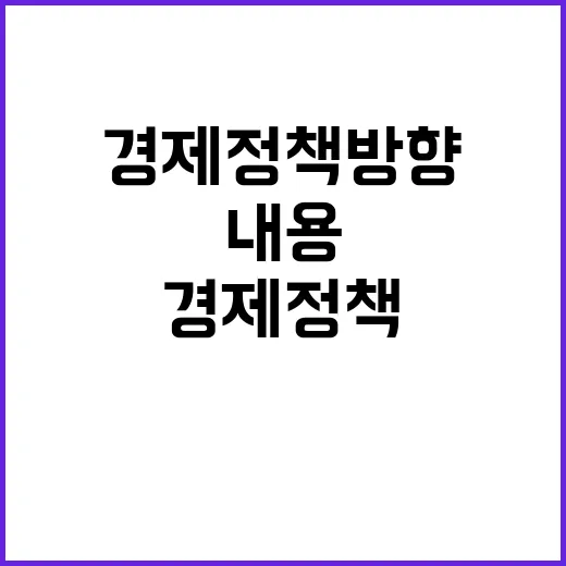 경제정책방향 구체적 내용 없다! 진실이 무엇인가?