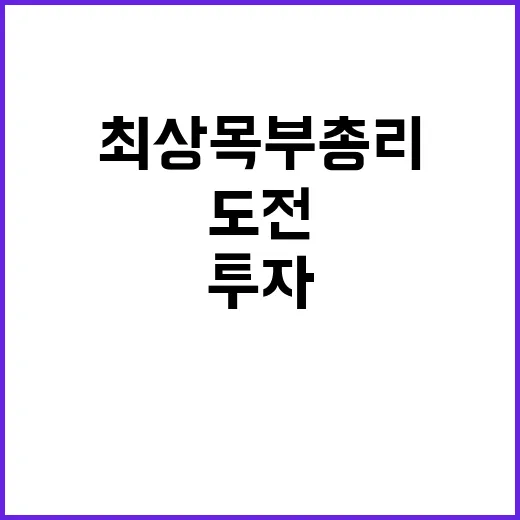 기업 투자 최상목 …