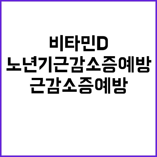 비타민D 노년기 근…