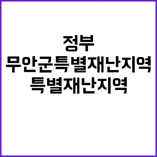 무안군 특별재난지역…