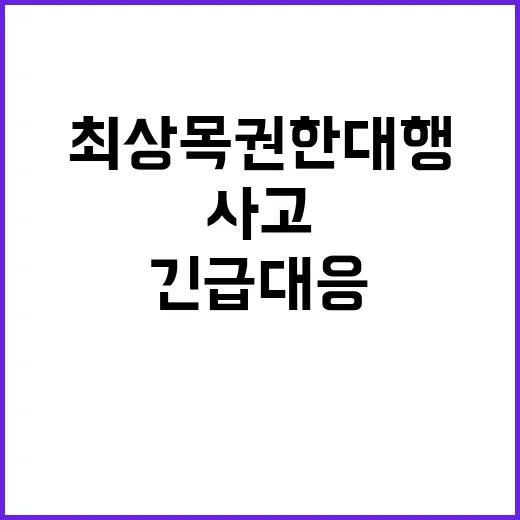 사고원인 규명 최상목 권한대행의 긴급 대응!