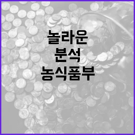 꽃 가격 안정성 농…