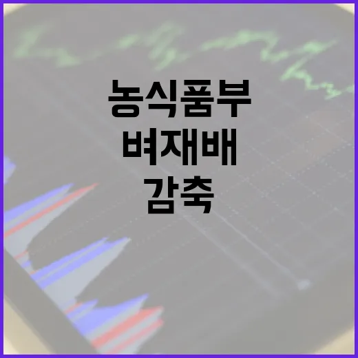 농식품부 벼 재배면…