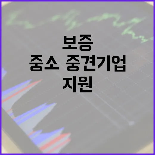 대출·보증 중소·중…