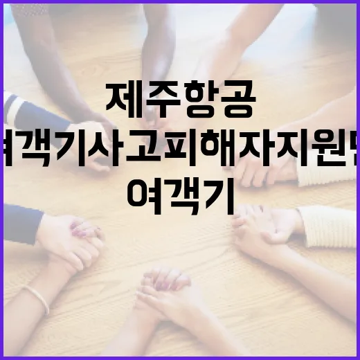 여객기 사고 피해자…