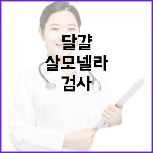 식약처 달걀 검사 강화와 살모넬라 방지 대책!