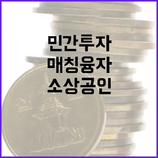 민간투자 매칭융자 …