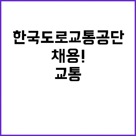 한국도로교통공단 비…