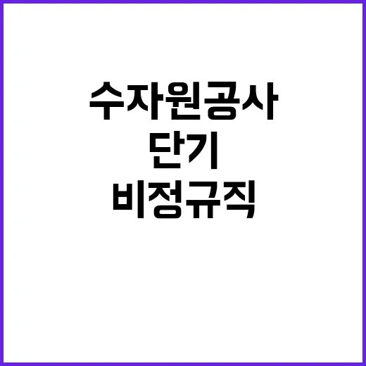 한국수자원공사 비정…