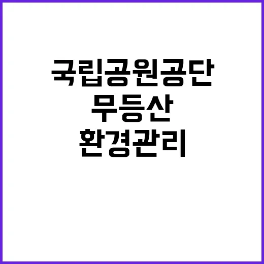 국립공원공단 비정규…