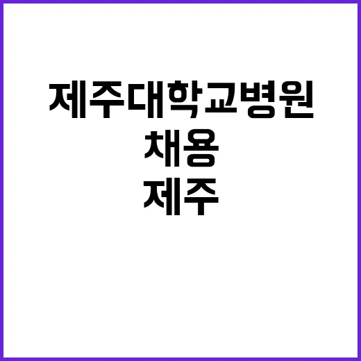 제주대학교병원 전일제 계약직 및 단시간 계약직(장애인_검진안내 및 업무보조 등) 블라인드 모집공고