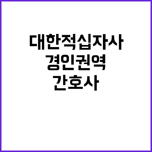 대한적십자사 정규직…