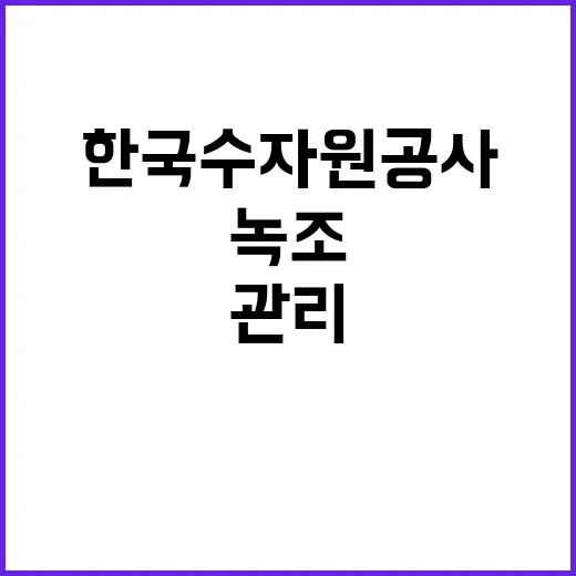 한국수자원공사 비정…