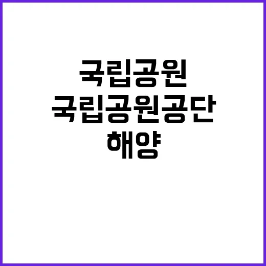 국립공원공단 비정규…