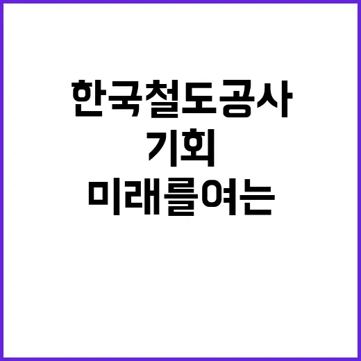 한국철도공사 비정규…