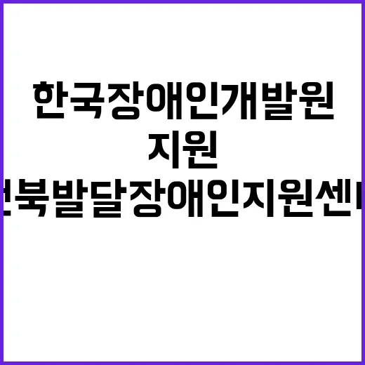 한국장애인개발원 비…