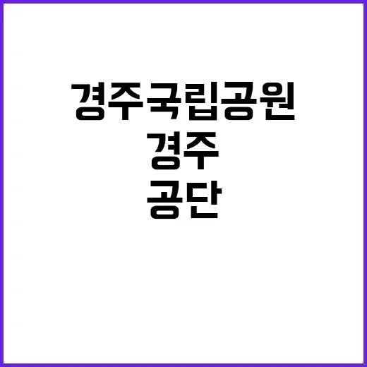 국립공원공단 비정규…