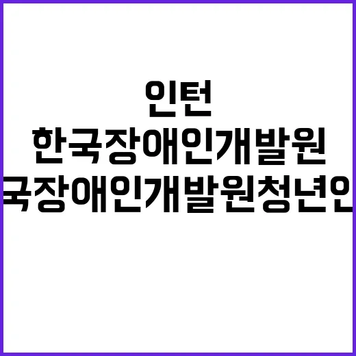 한국장애인개발원 청…