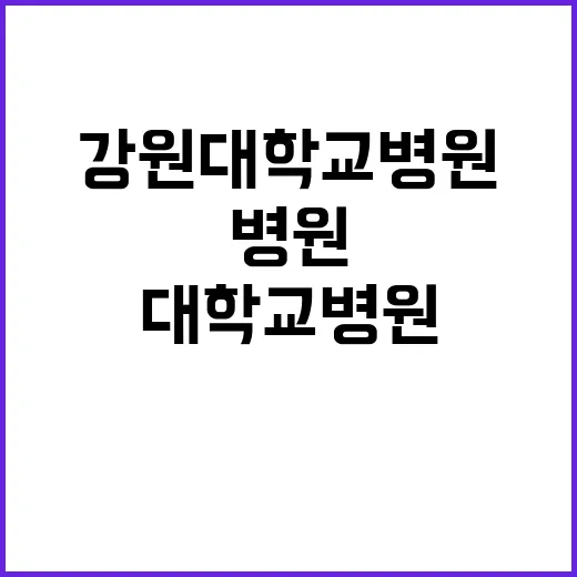 강원대학교병원 정규…