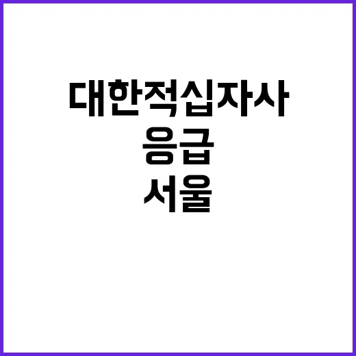 서울적십자병원 계약직 응급구조사 신규채용(2024.10.01.)