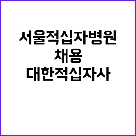 대한적십자사 정규직…