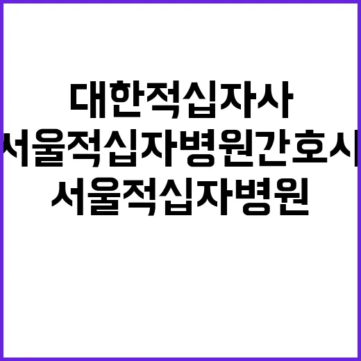 대한적십자사 비정규…