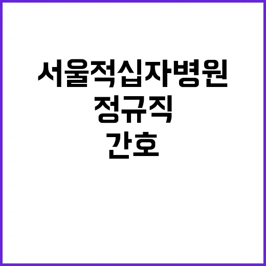 대한적십자사 정규직…