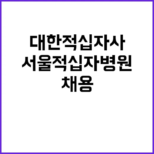 서울적십자병원 계약직 초단시간 병동 간호사 신규채용(2024.10.01.)